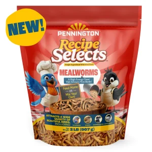 Pennington Recipe Selects Mealworms, Bluebird and Wild Bird Food, 2 lb. Bag, 1 Pack, Dry