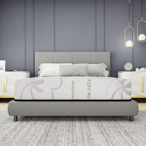 Spectra Orthopedic Mattress 8 Inch Plush Quilted-Top Mattress